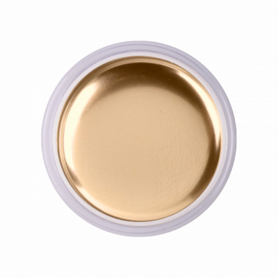 Iva Nails Gel-paint GOLD CHROME 5гр