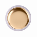 Iva Nails Gel-paint GOLD CHROME 5гр